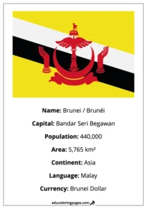 Brunei Flag Country Facts Educational