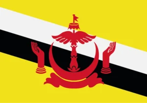 Brunei Flag Printable