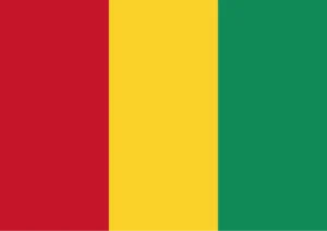 Guinea Flag Printable
