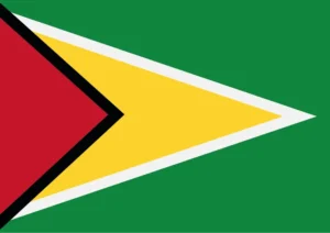Guyana Flag Printable