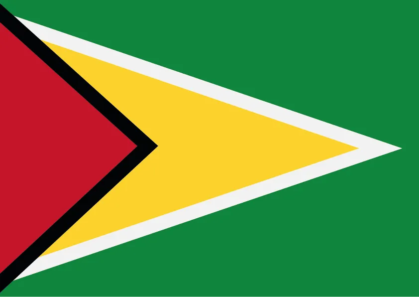Guyana Flag Printable