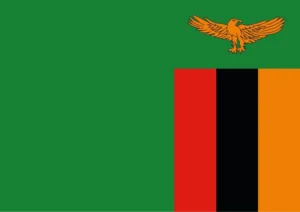 Zambia Flag Printable